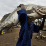 How counterfeits will fail plan for middle income in Uganda.